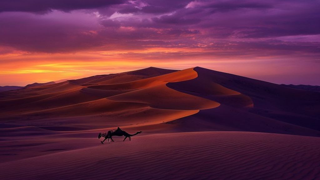 Sahara at Dusk: The Last Hour of Light